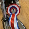 Rosette Best in Show Kempton Park 2019